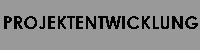 Projektentwicklung